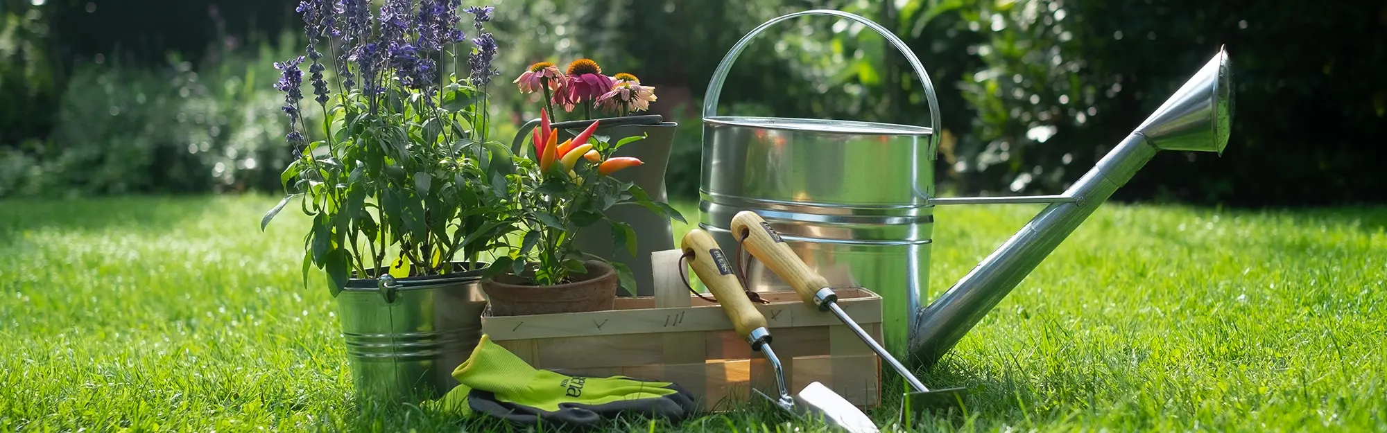 Tipps & Tricks für die Gartenpflege im Frühling